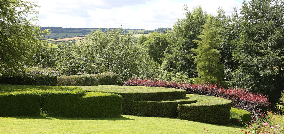 Wiltshire special plants